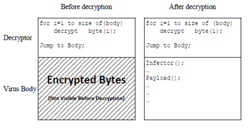 Structure of an encrypted virus